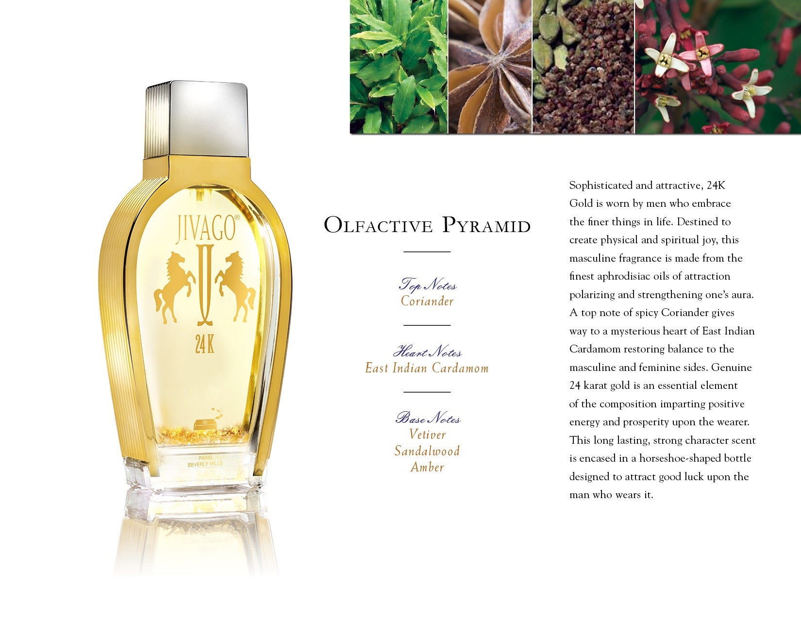 JIVAGO 24K for Men - EDT - 100ml